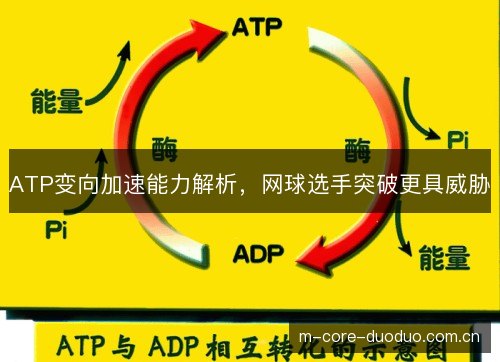 ATP变向加速能力解析,网球选手突破更具威胁 ATP变向加速能力解析,网球选手突破更具威胁